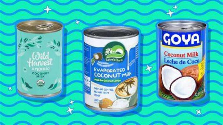 What does full fat coconut milk mean?