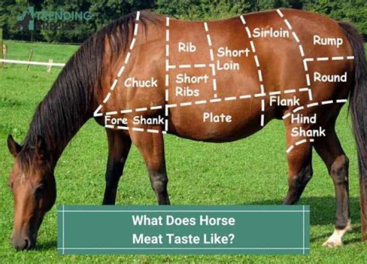 What does horse taste like?