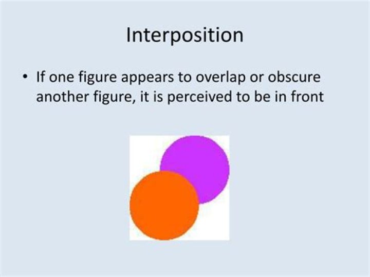 What does interposition mean in psychology?