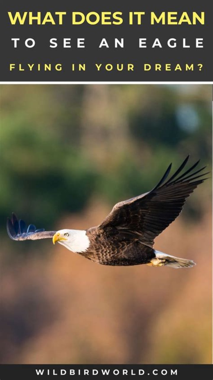 What does it mean when you see an eagle?