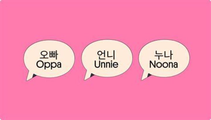 What does kronika mean in Korean?