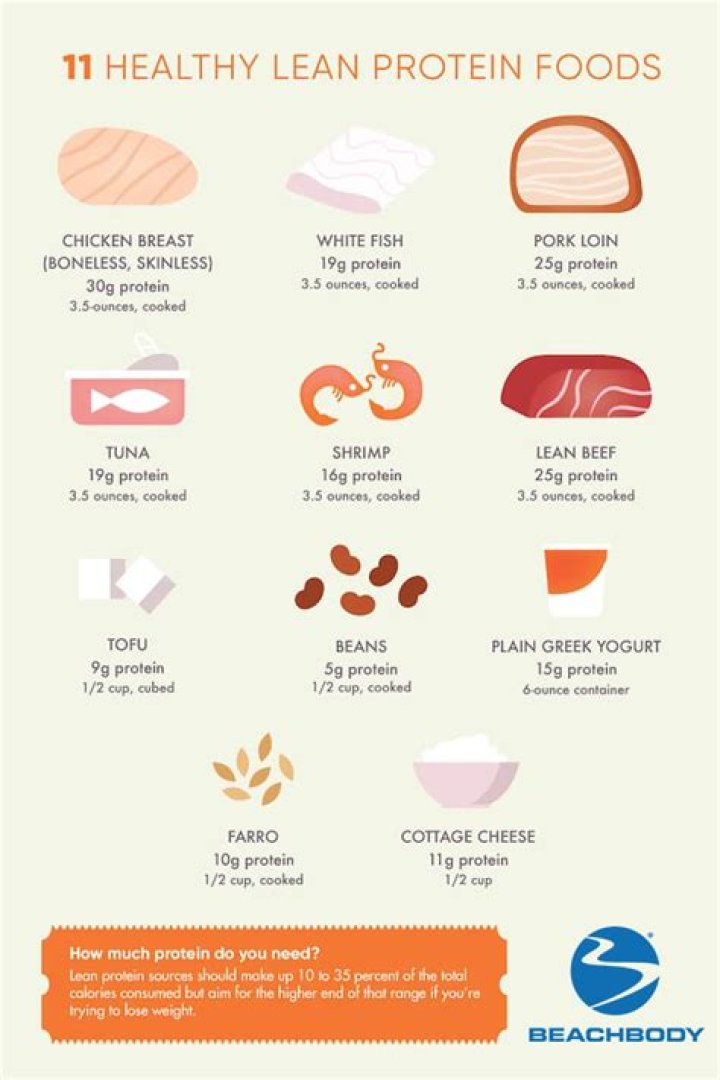 What does lean 1 protein do?
