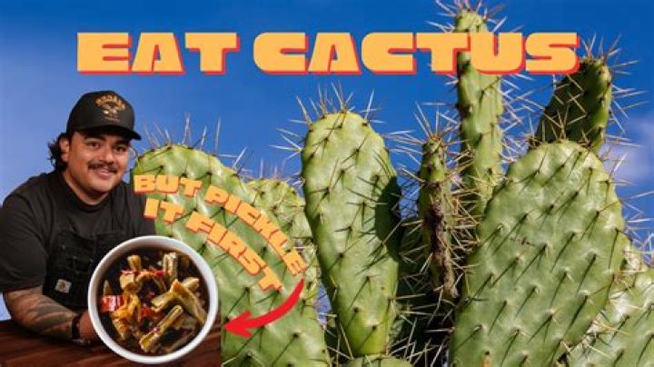 What does nopal taste like?