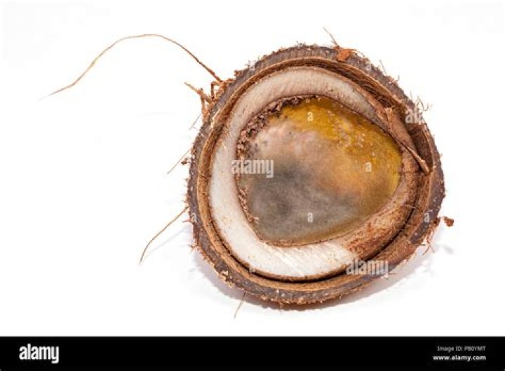 What does rotten coconut smell like?