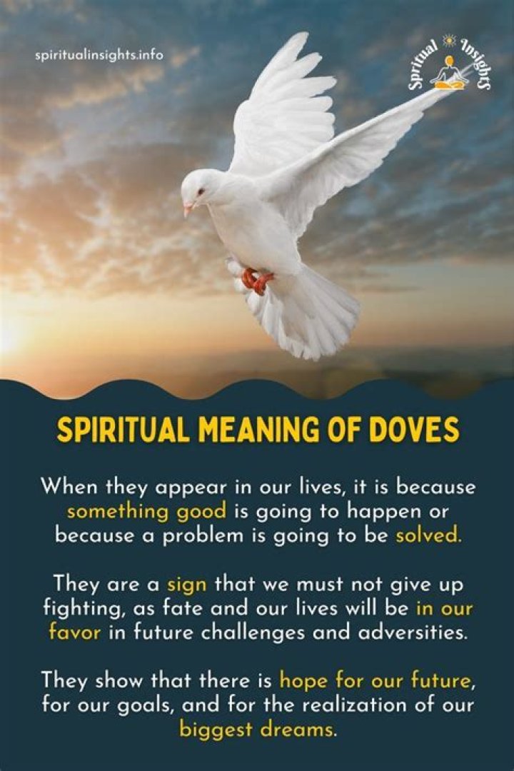 What does seeing 3 doves mean?