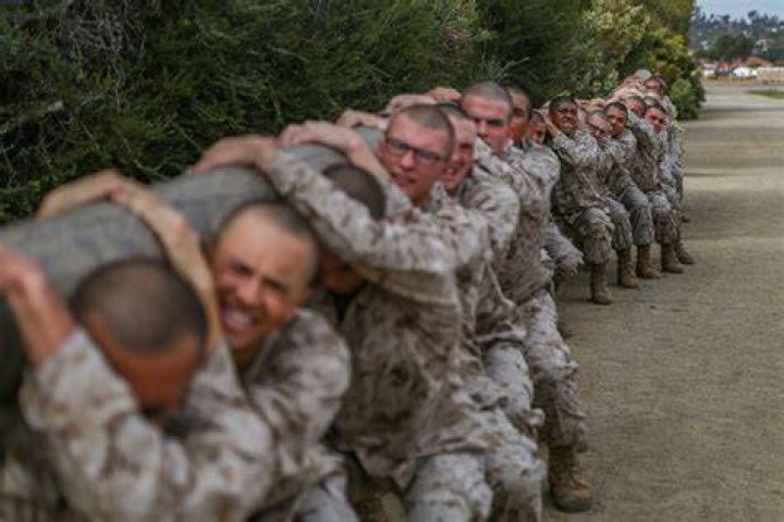 What does SFMF mean in the military?