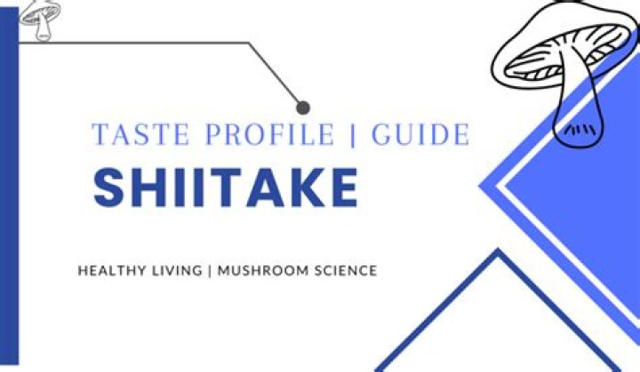 What does shiitake taste like?