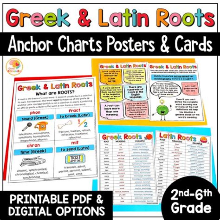 What does Spec mean in Greek and Latin roots?