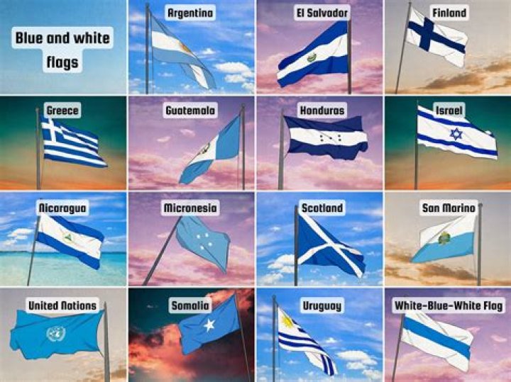 What does the blue flag mean NFL?