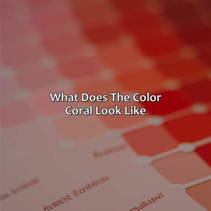 What does the color Rouge look like?