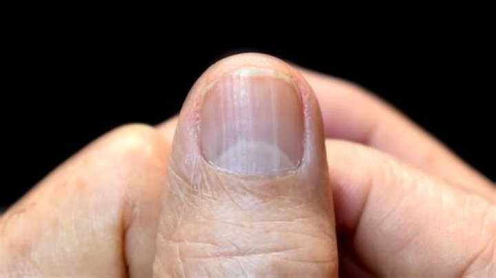 What does the D mean in nails?