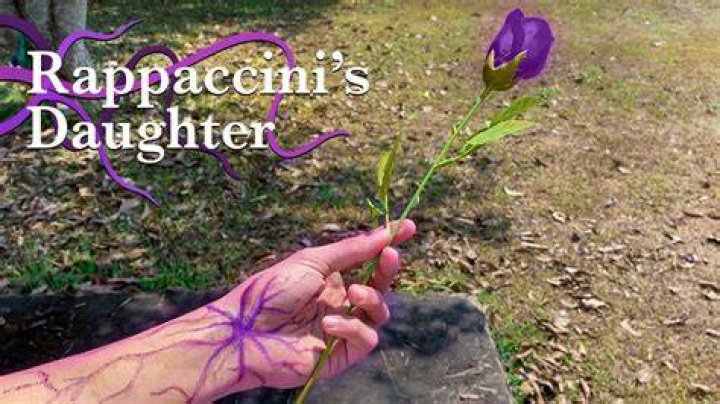 What does the purple flower symbolize in Rappaccini’s Daughter?