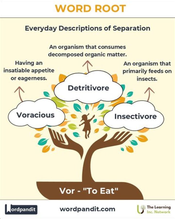 What does the root word Dom mean?