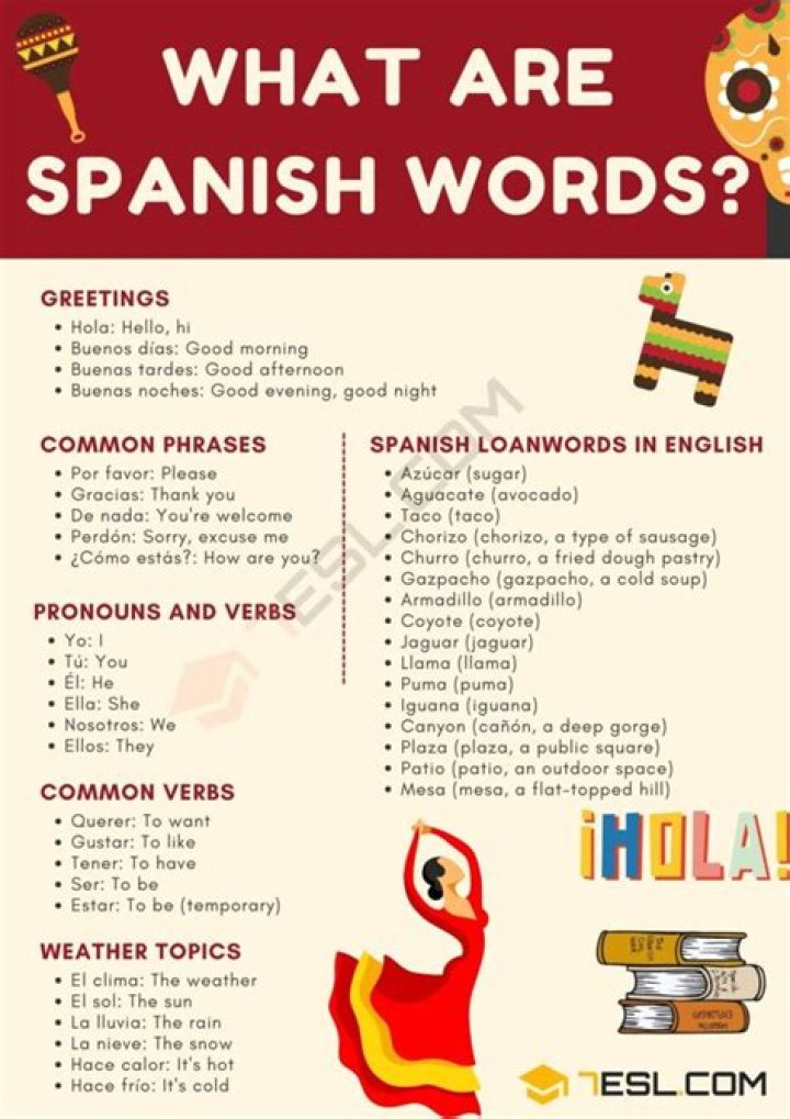 What does the Spanish word Boba mean?