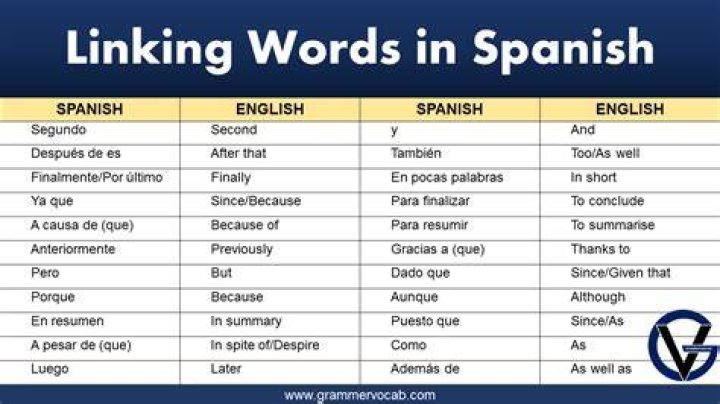What does the Spanish word Menso mean? Archives | PopularAsk.net