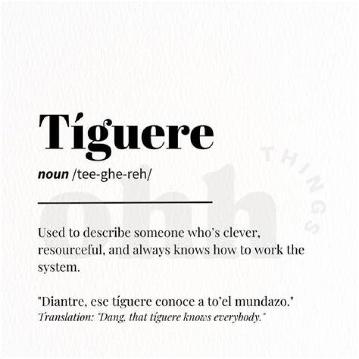 What does Tiguere mean in Dominican?