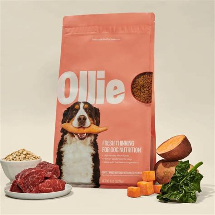 What dog food is not made in China?