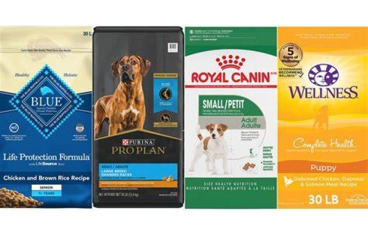 What dog food is on recall 2021?
