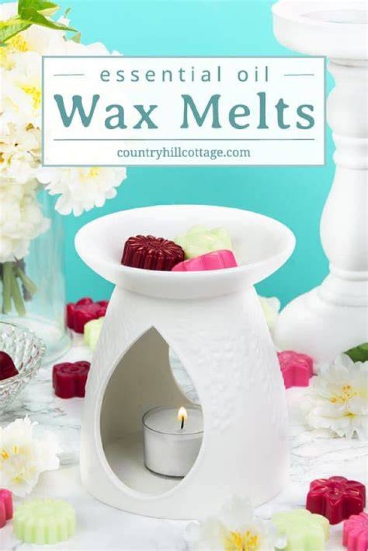 What else can I put in my wax warmer?