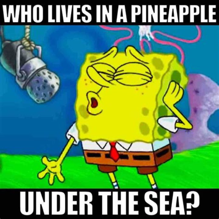 What episode of SpongeBob is the meme from?