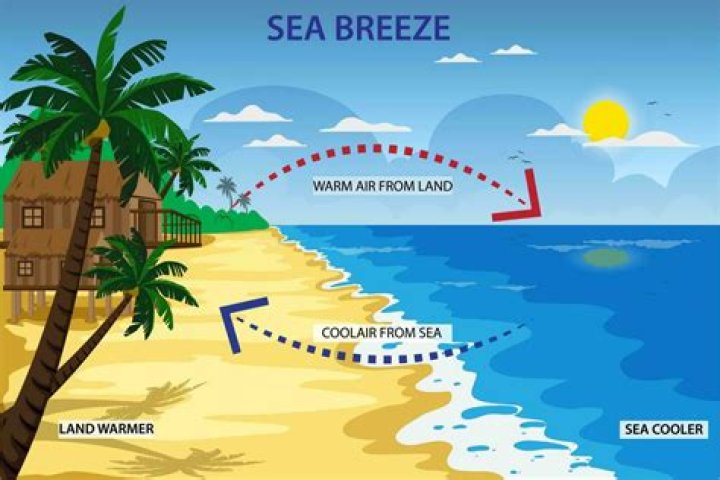 What flavor is beach breeze?