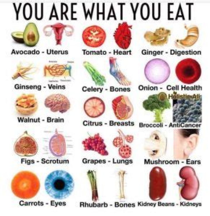 What food looks like organs?