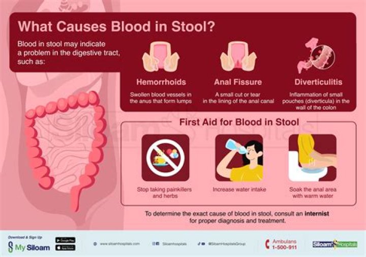 What foods cause blood in stool?