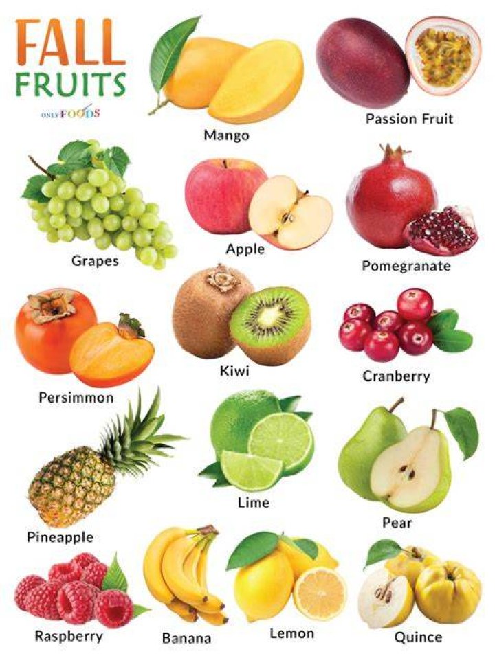 What fruit is in fall season?