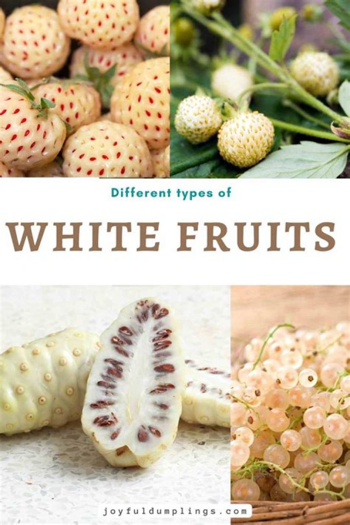 What fruit is most like vagina?