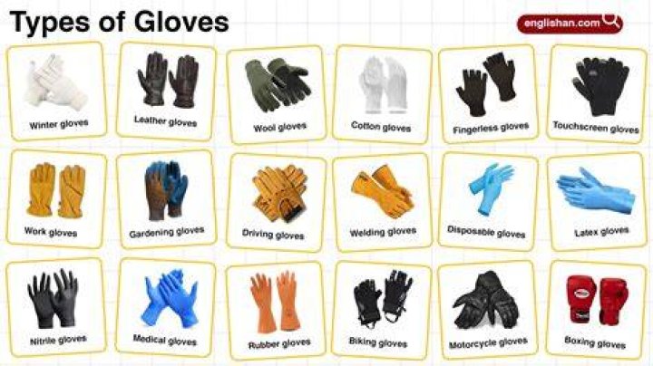What gloves do Subway use?