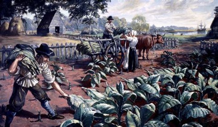 What goods were successfully produced in the colony of Georgia?