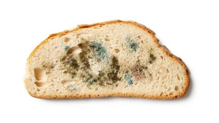 What happens if you accidentally eat mold on bread?