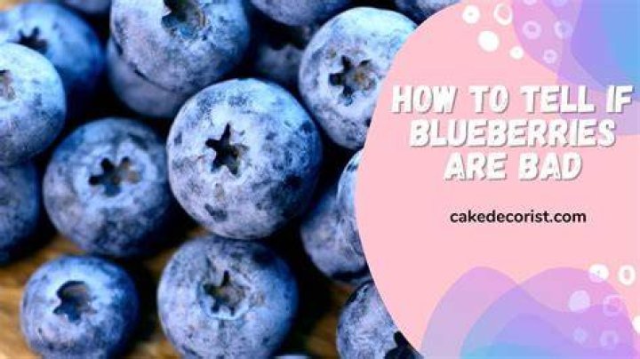 What happens if you eat bad blueberries?