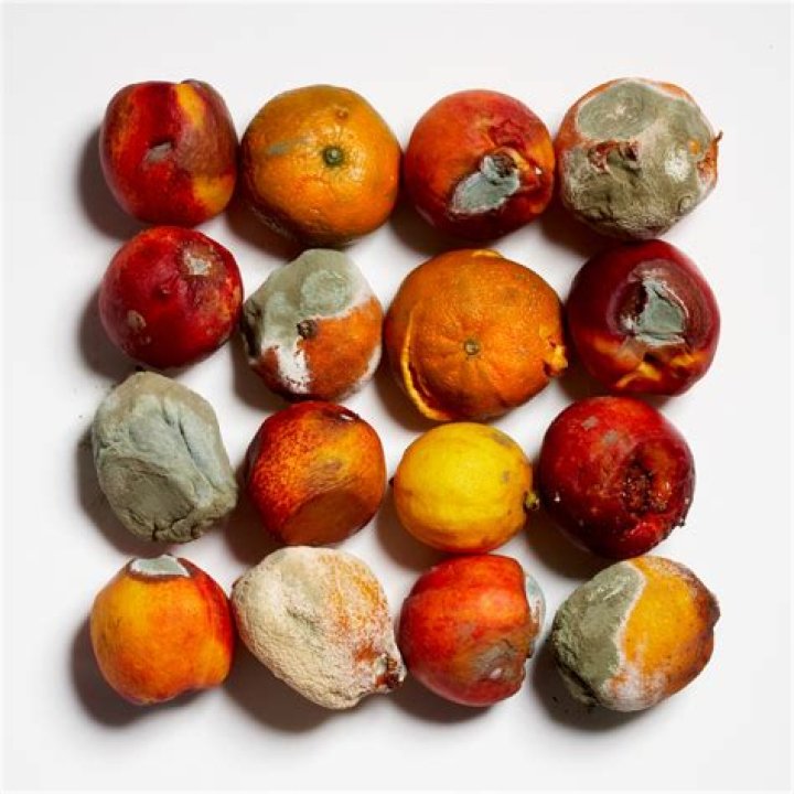 What happens if you eat moldy mango?
