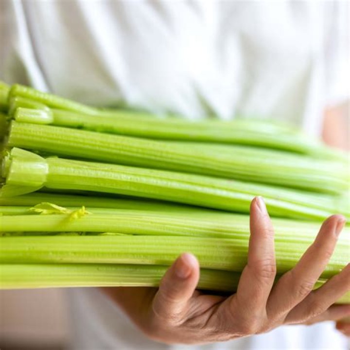What happens if you eat old celery?