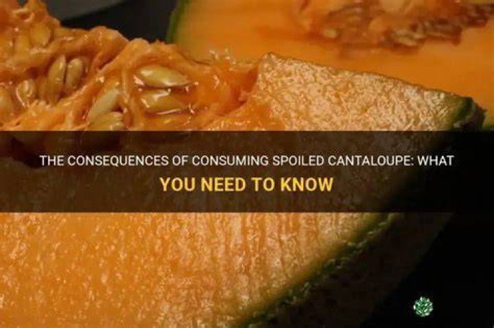 What happens if you eat spoiled cantaloupe?