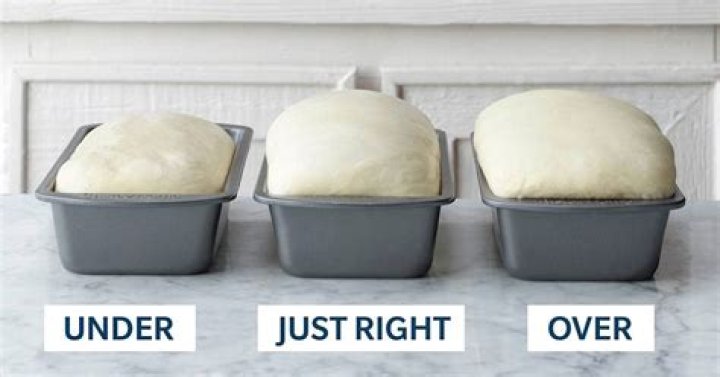 What happens if you let dough rise for too long?