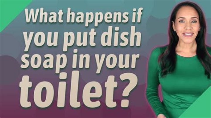 What happens if you put dish detergent in your toilet?