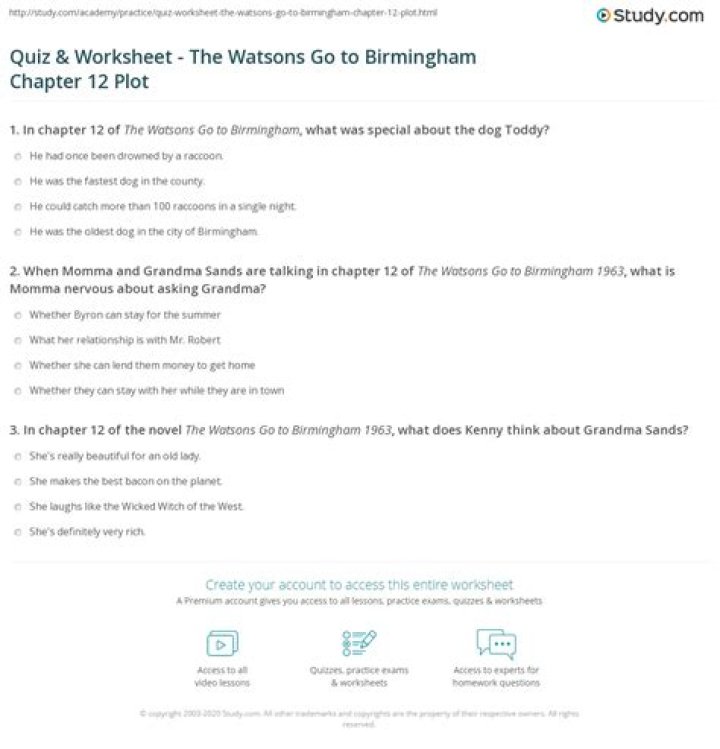 What happens in Chapter 12 of The Watsons Go to Birmingham?