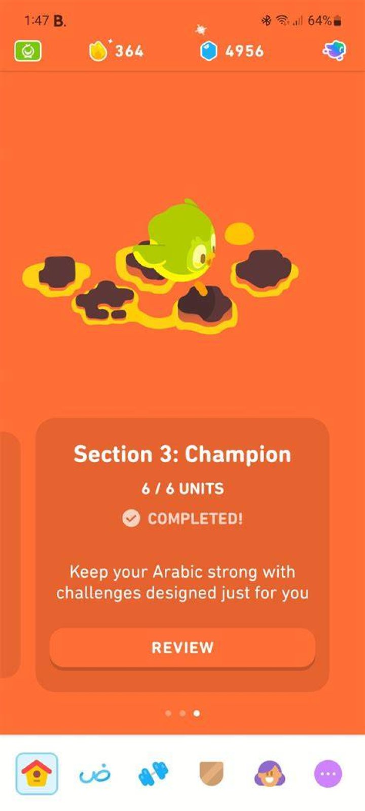 What happens when you finish all the lessons on duolingo?