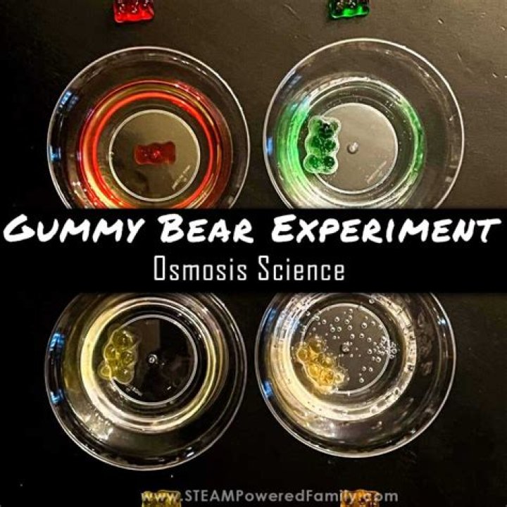 What happens when you heat a gummy bear?