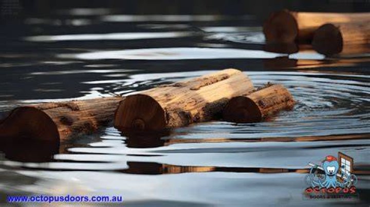 What happens when you soak wood in water?