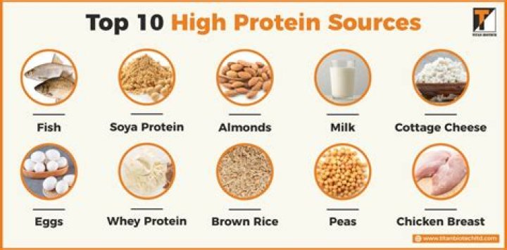 What has the most protein at Sonic?