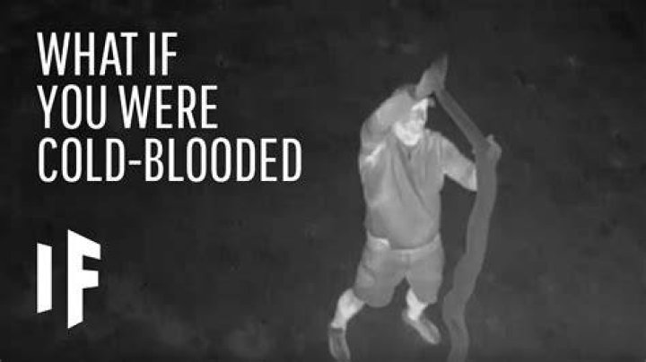 What if humans were cold blooded?