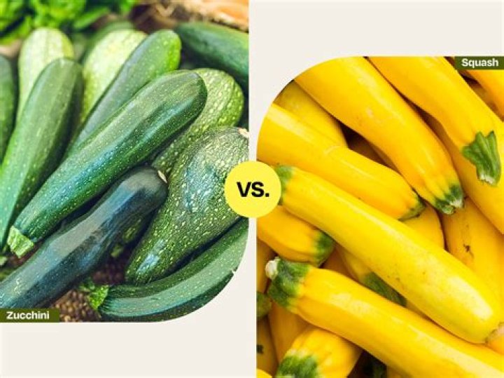 What if yellow squash is green?