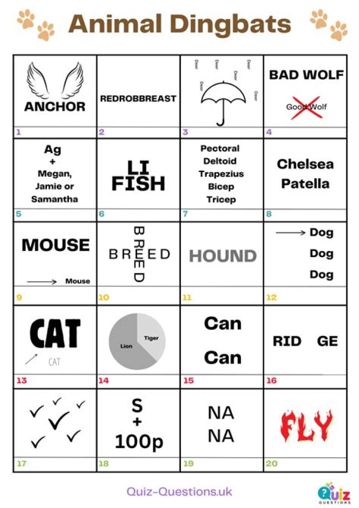 What is a dingbat animal? Archives | PopularAsk.net