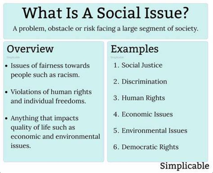 What is a domestic issue definition?