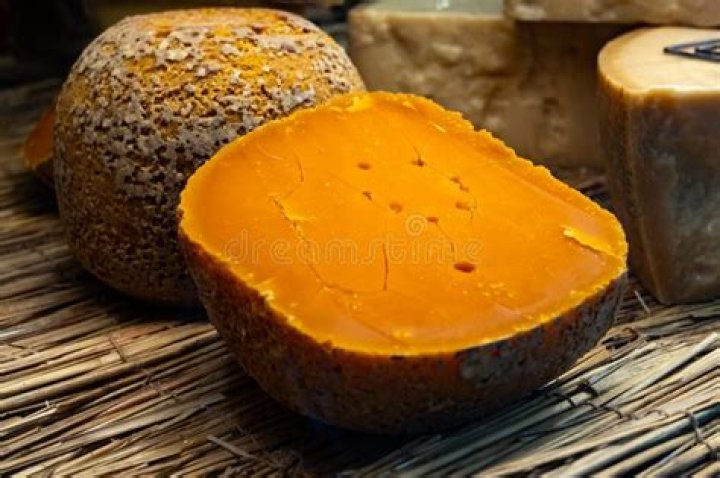 What is a French cheese with mites called?