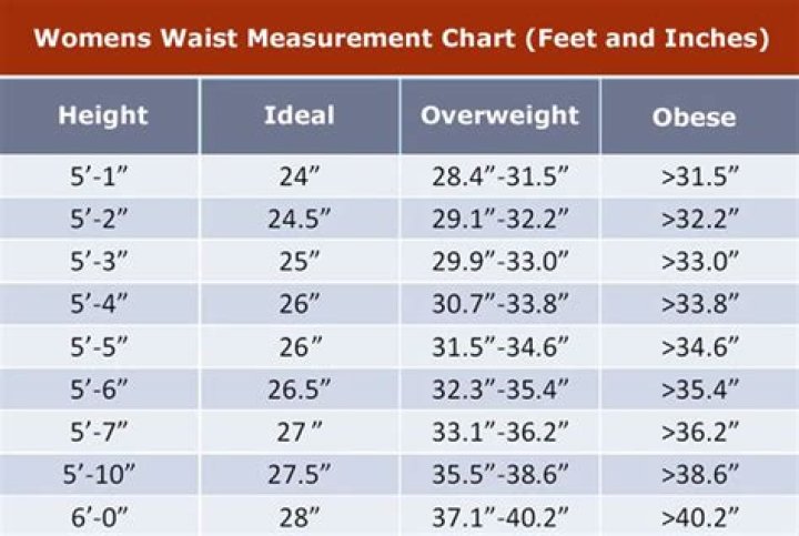 What is a good waist size for 5 4?