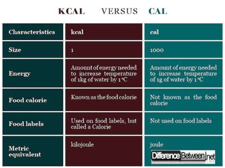 What is a KCAL vs Cal?